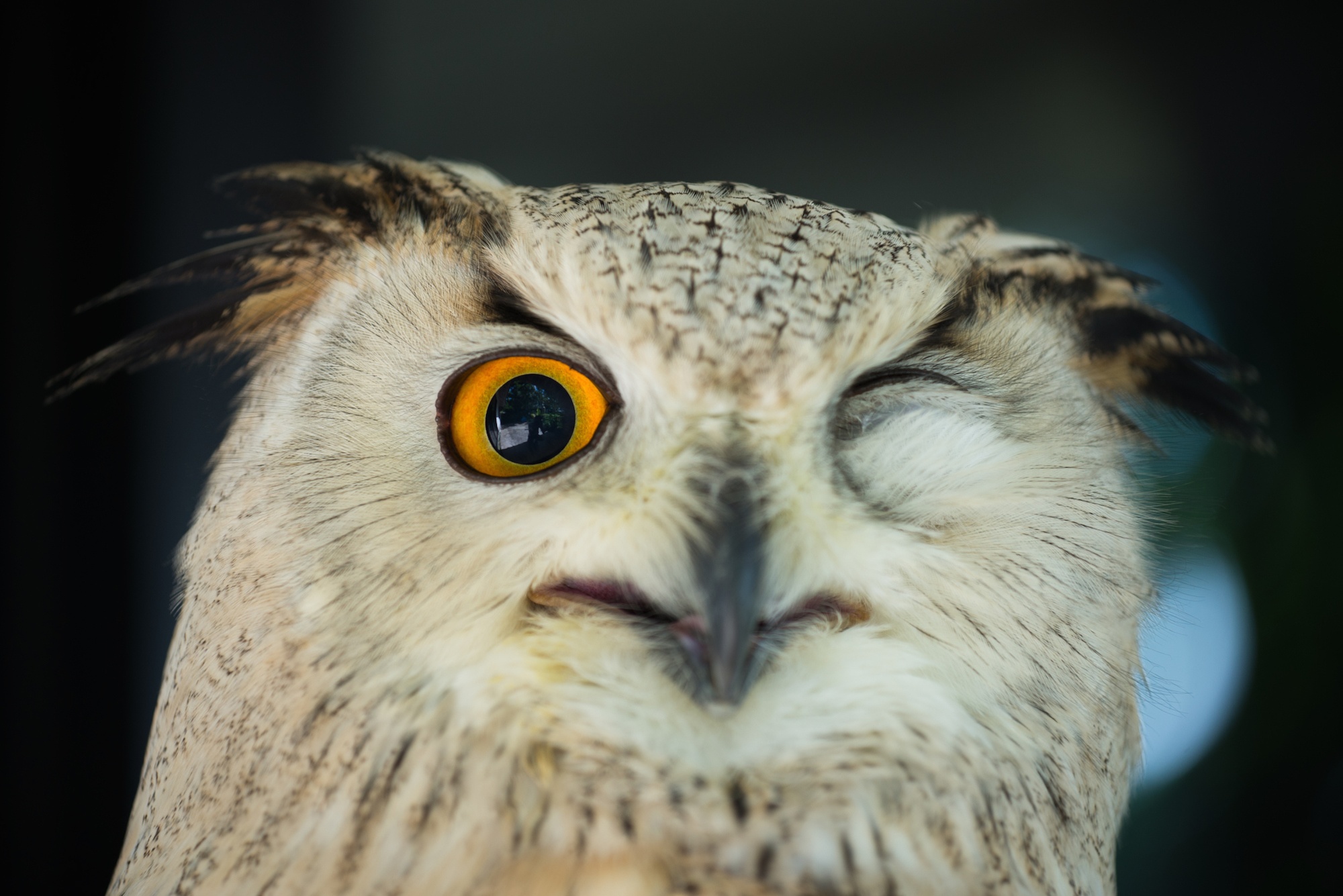 Does Your Recruitment Marketing Pass the Blink Test?