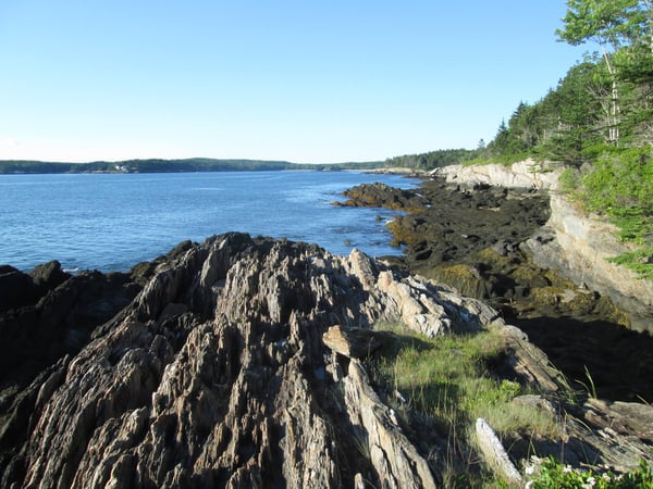 Hiking around Hermit Island