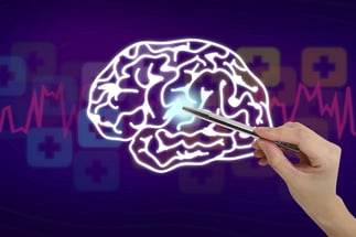 Brain