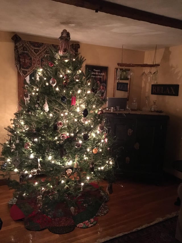 mikes tree mikes tree