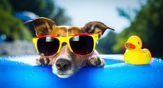 ThinkstockPhotos-176230653