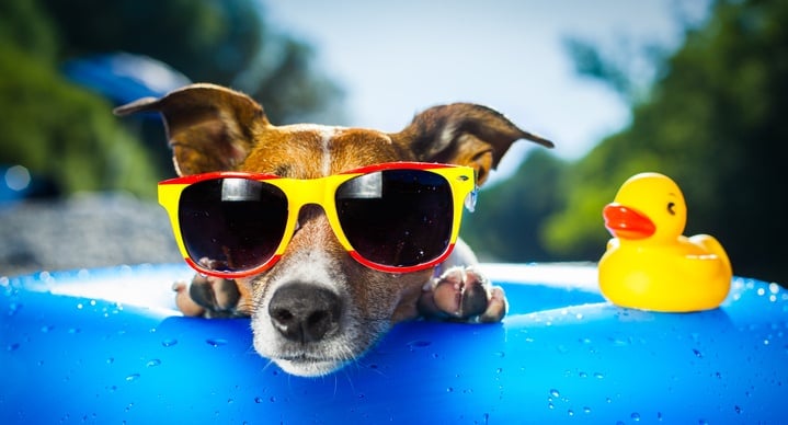 ThinkstockPhotos-176230653