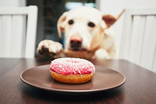 ThinkstockPhotos-811441668-1